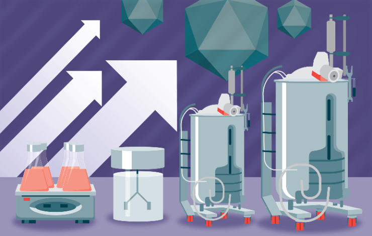 Scalable production of AAV from shake flasks to 1,000 L single use bioreactors using the Gibco™ CTS™ AAV-MAX Production System