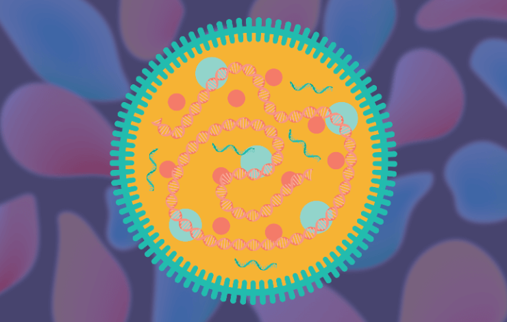 Regulatory considerations and validation strategies for mycoplasma testing for cell-based therapies