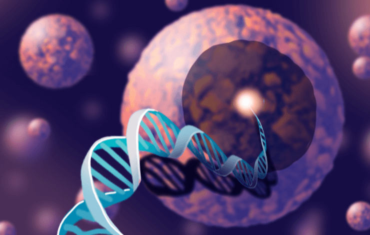 Solutions for clinical-grade manufacturing of gene-engineered NK cells