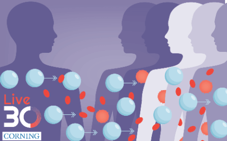 Allogeneic cell therapy production trends: driving tomorrow’s success