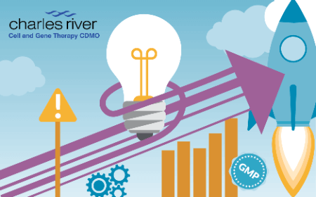 De-risking cell therapy product development: strategies for commercial success