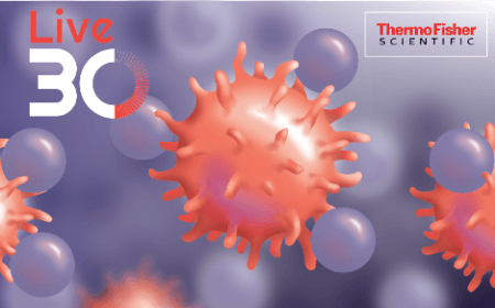 Isolating CD4+ and CD8+ T cells for improved drug efficacy and increased productivity