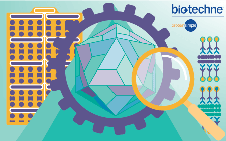 Automated immunoassay platforms for enhancing AAV analytics
