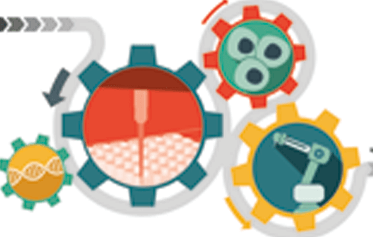 Meeting scalability challenges for autologous cell-based manufacturing with automated closed-system solutions