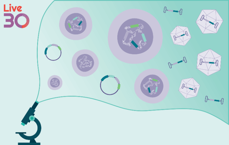 Redefining AAV manufacturing: achieve exceptional performance and quality with an innovative transient cell line