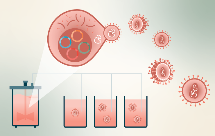 Case study: establishing a versatile and intensified lentiviral vector production platform with TFDF