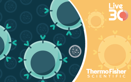 Optimizing for faster quality control in cell therapies: leveraging rapid detection methods