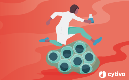 Actionable insights for overcoming CMC challenges in TIL therapy: GRIT’s strategic approach