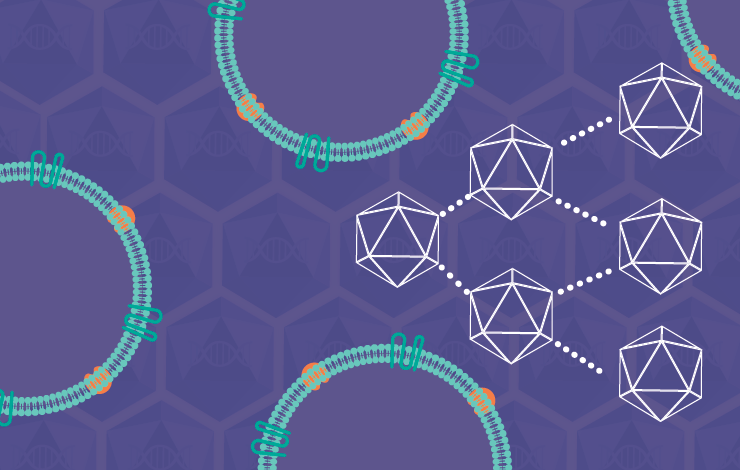 Future-proofing gene therapy: scalable AAV solutions and non-viral innovations 