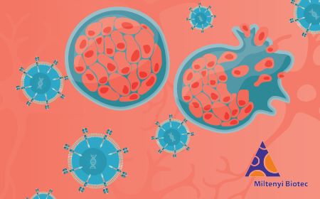 Dual CAR-T therapy targeting solid tumors: insights from intracerebroventricular delivery