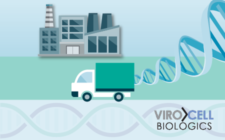 Next-gen vectors: advancing in vivo and ex vivo gene delivery through intelligent design