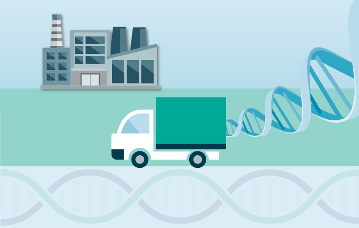 Next-gen vectors: advancing in vivo and ex vivo gene delivery through intelligent design