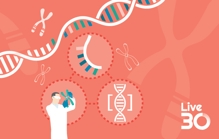 A framework for genomic integrity testing across the development lifecycle