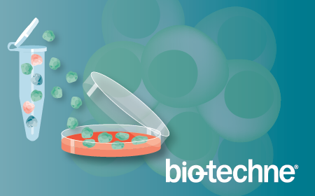 A more perfect disease model – engineered iPSCs from innovation to discovery