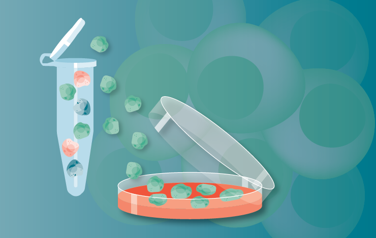 A more perfect disease model – engineered iPSCs from innovation to discovery