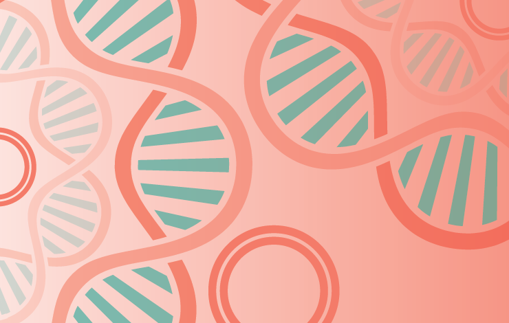 Achieving scalable, high-yield plasmid DNA purification processes 