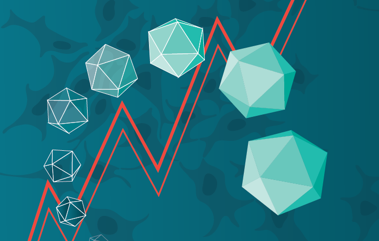 Platform-proof performance for AAV production in HEK293 cell lines