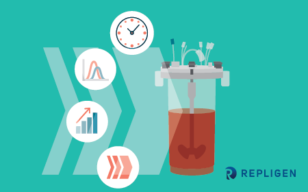 Optimizing upstream cell culture with rapid at-line and in-line analytics