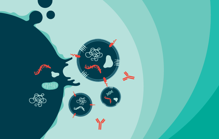A science-driven framework for EV characterization to achieve clinical success