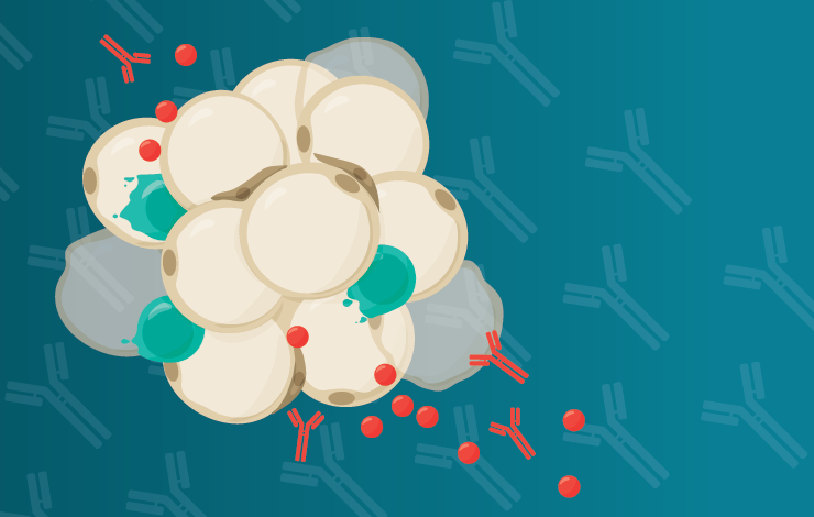 Targeting immune aging: new strategies to enhance cellular immunotherapies in older patients 