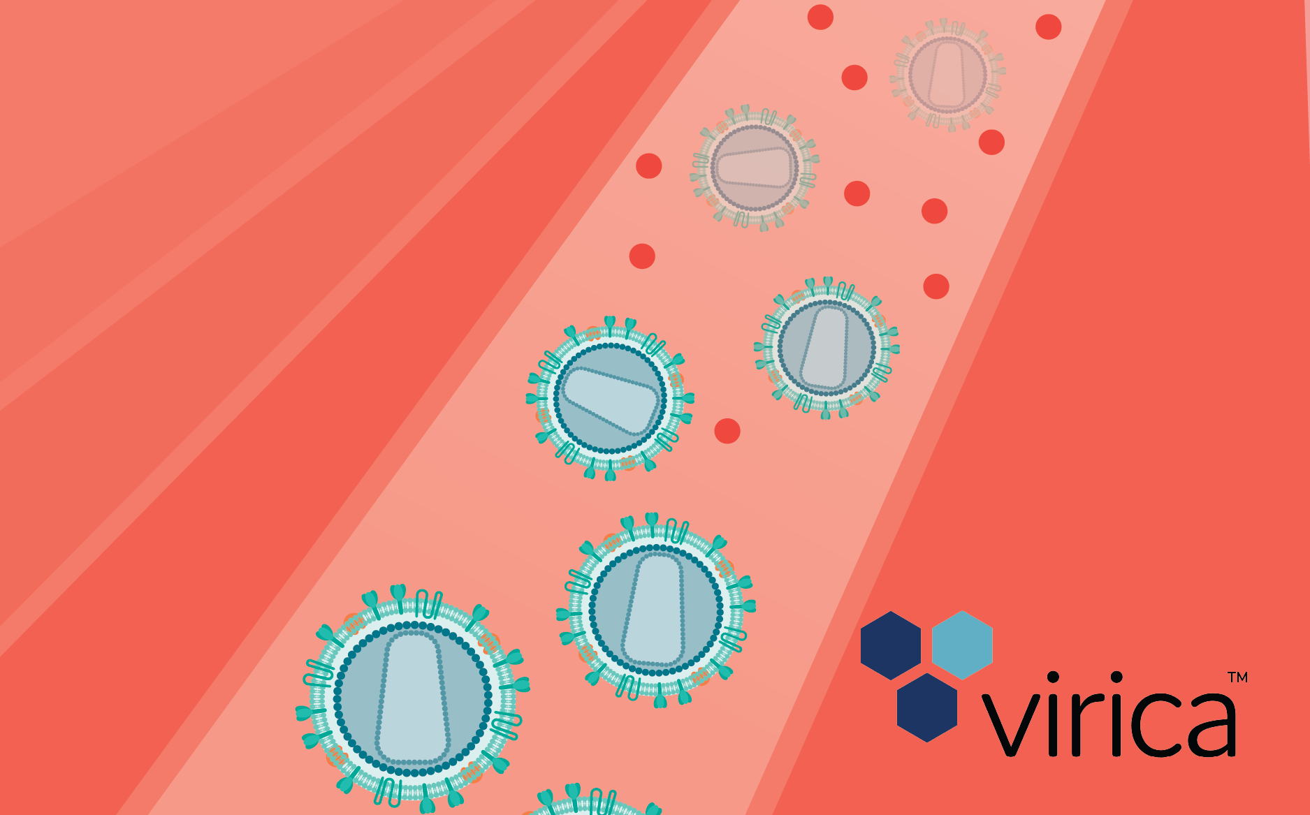 Smarter lentiviral manufacturing for CAR-T: increased productivity meets smart purification