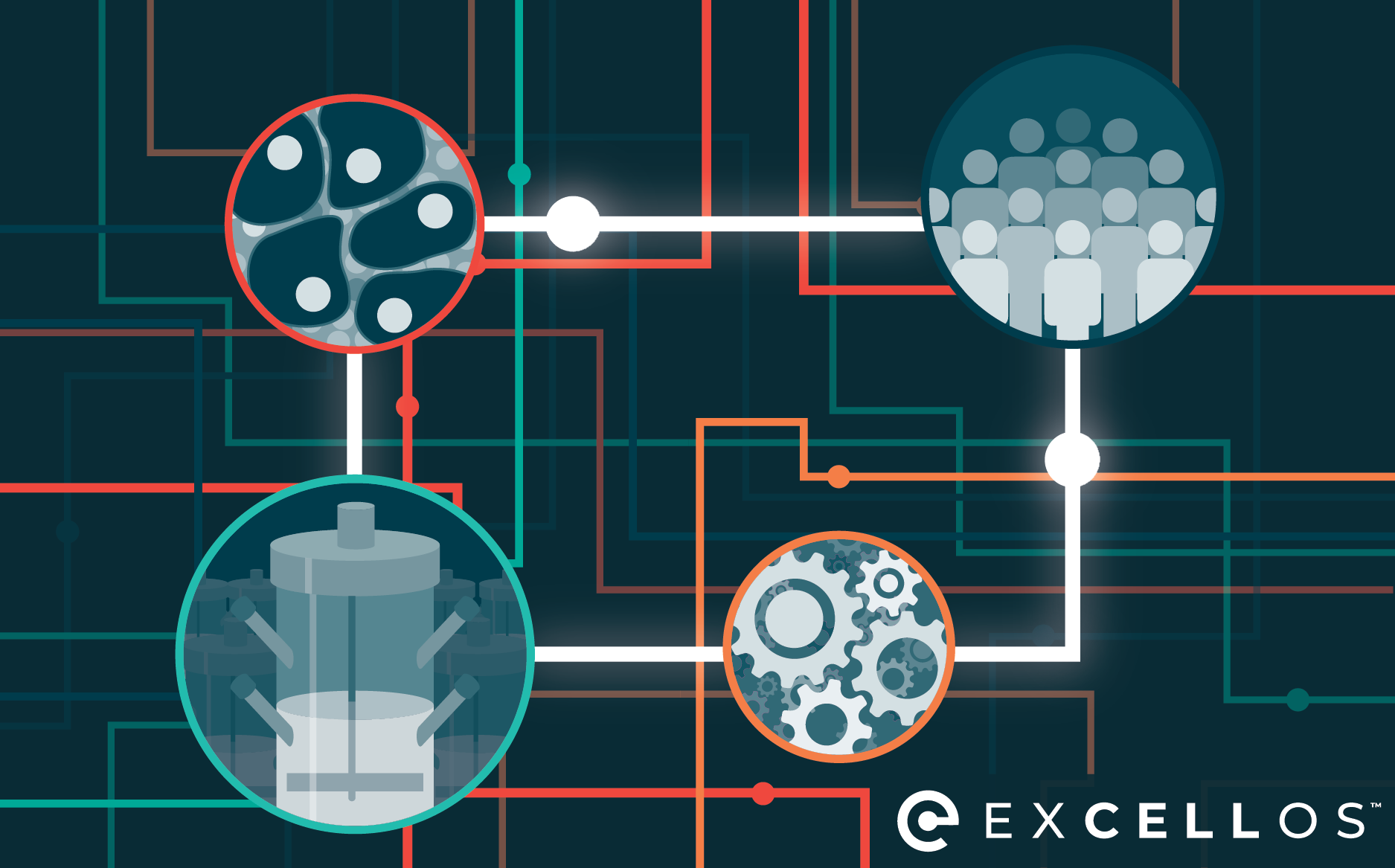 Collaboration in action: decentralized manufacturing to expand patient access in cell therapy 