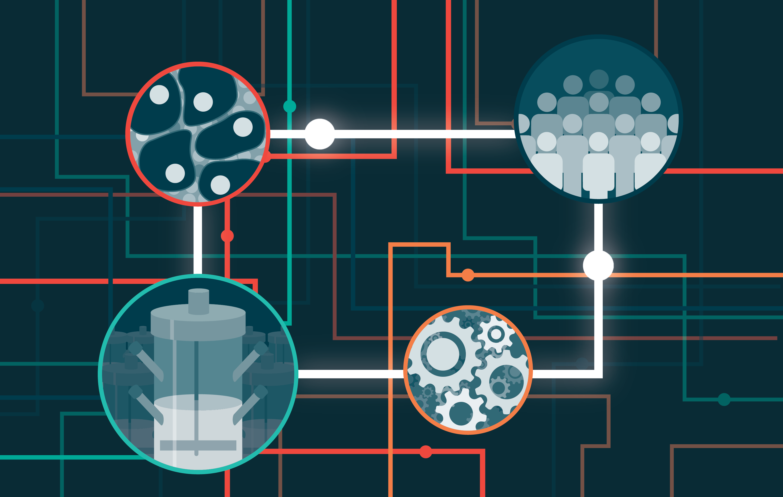 Collaboration in action: decentralized manufacturing to expand patient access in cell therapy 