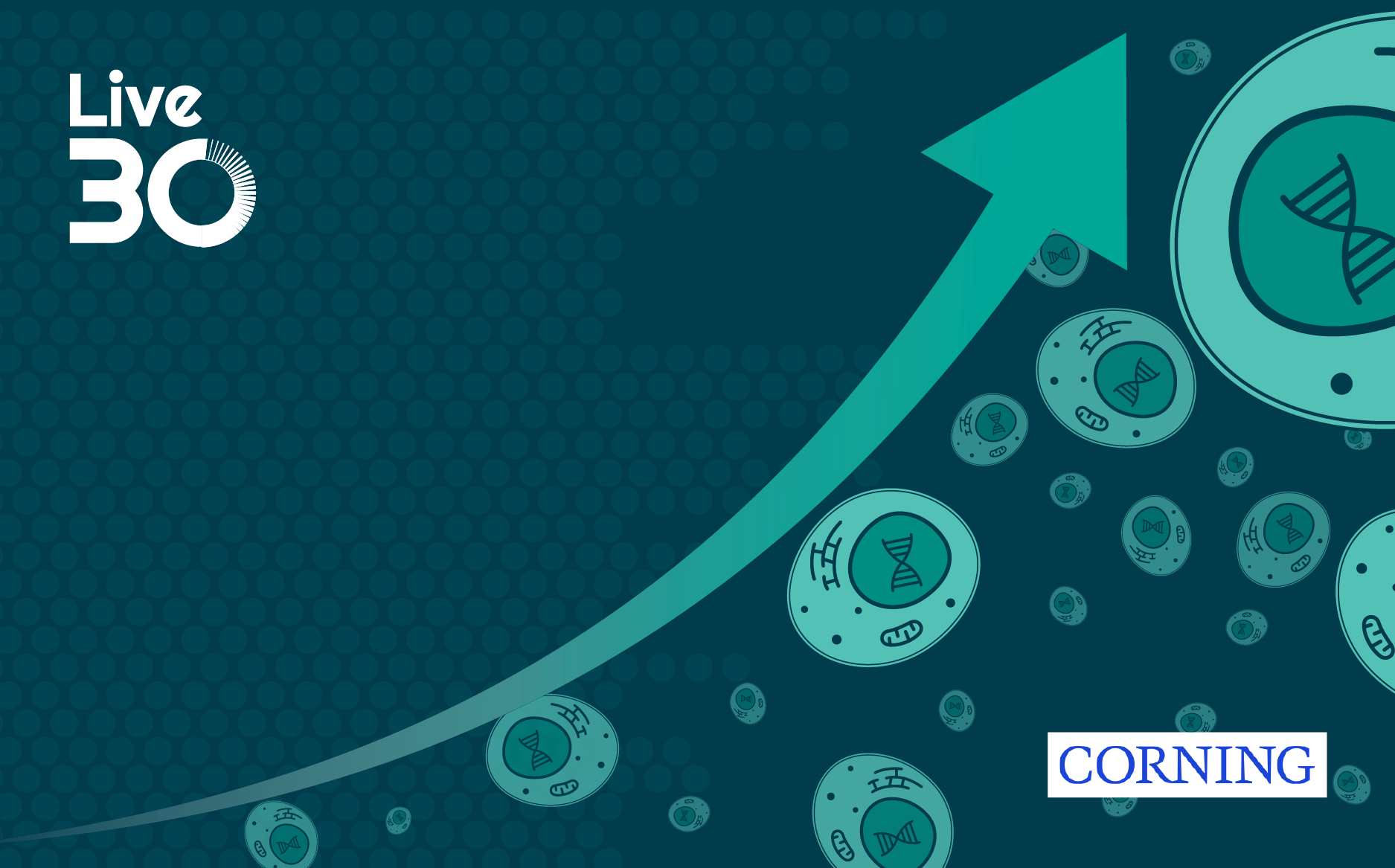 iPSC biomanufacturing: advances in scalable technologies with fixed bed bioreactor systems