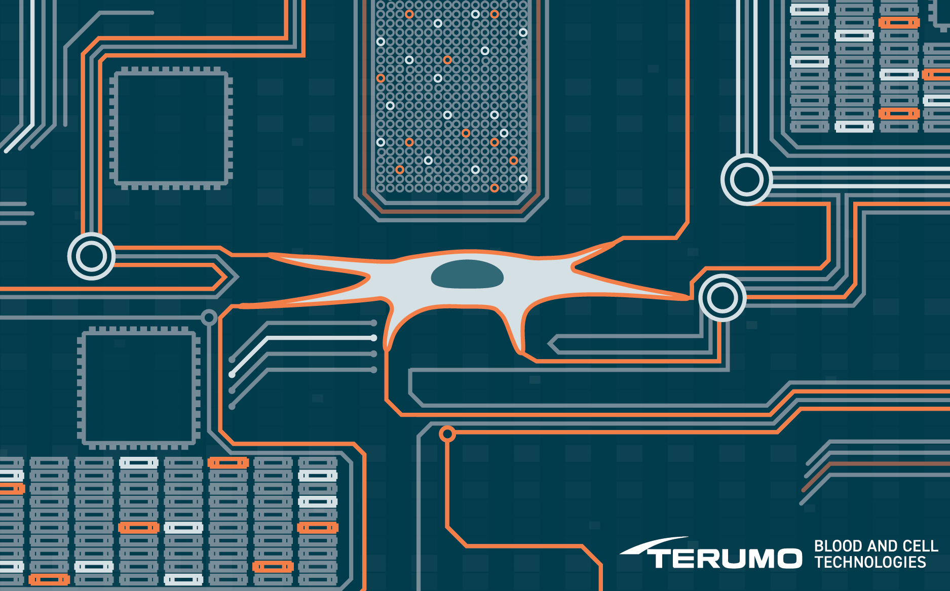 Automating and scaling adherent cell manufacturing for clinical and commercial success