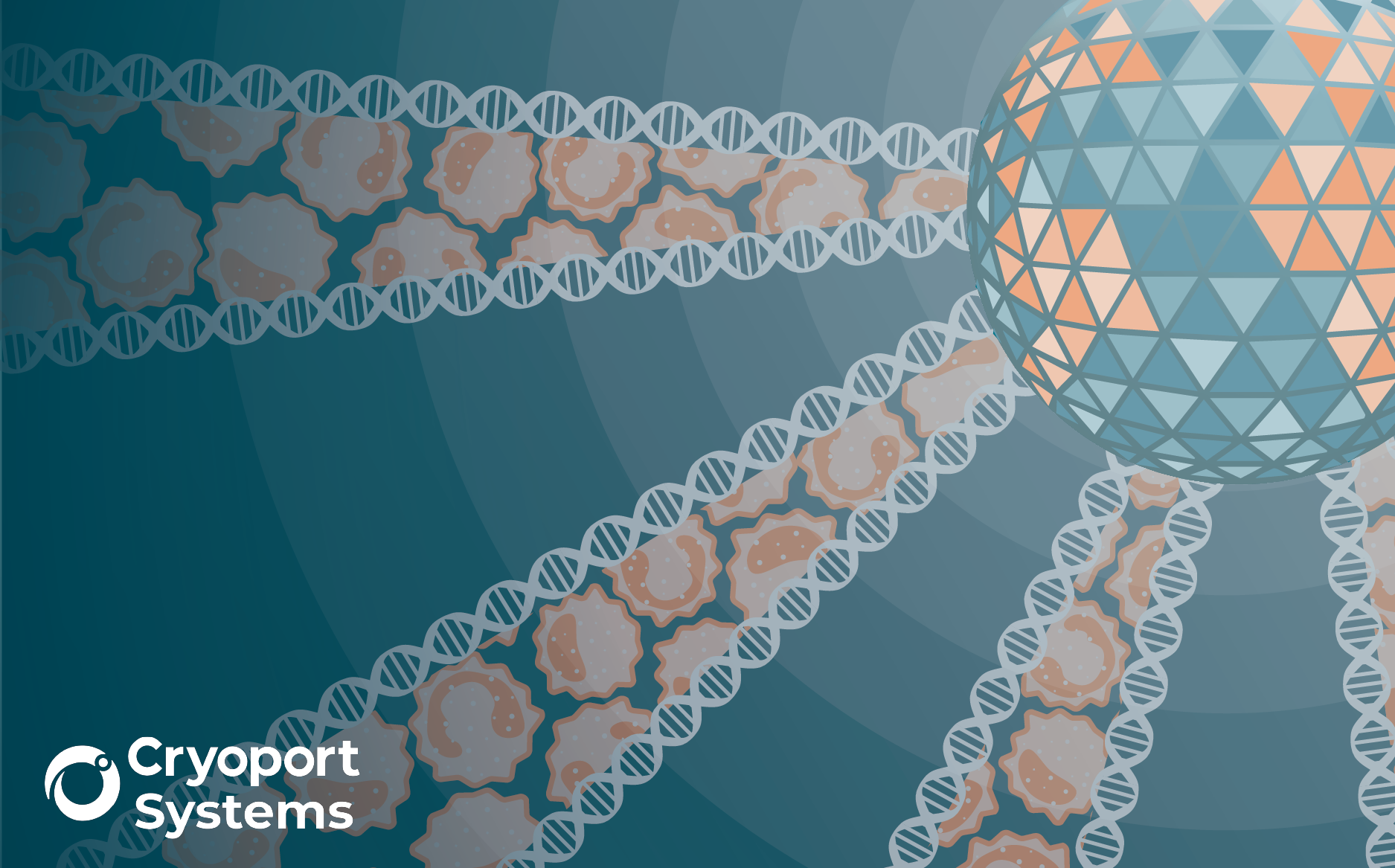 Collection to commercialization: is standardization the bottleneck or breakthrough for cell and gene therapy