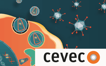 Scalable, helper virus-free AAV production with stable CAP-GT producer cell lines