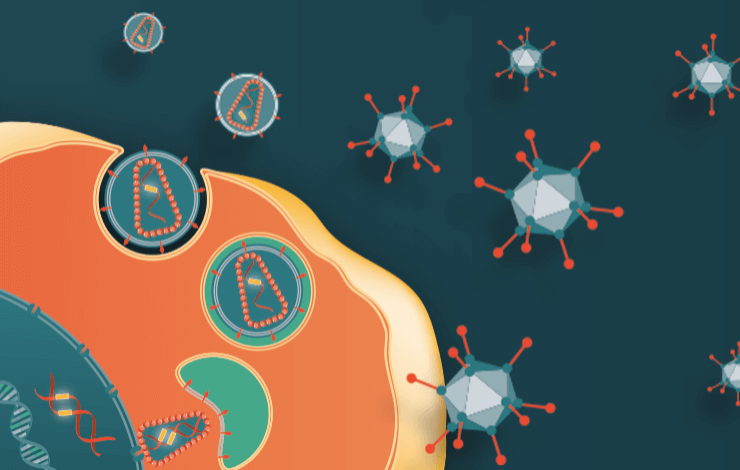 Scalable, helper virus-free AAV production with stable CAP-GT producer cell lines