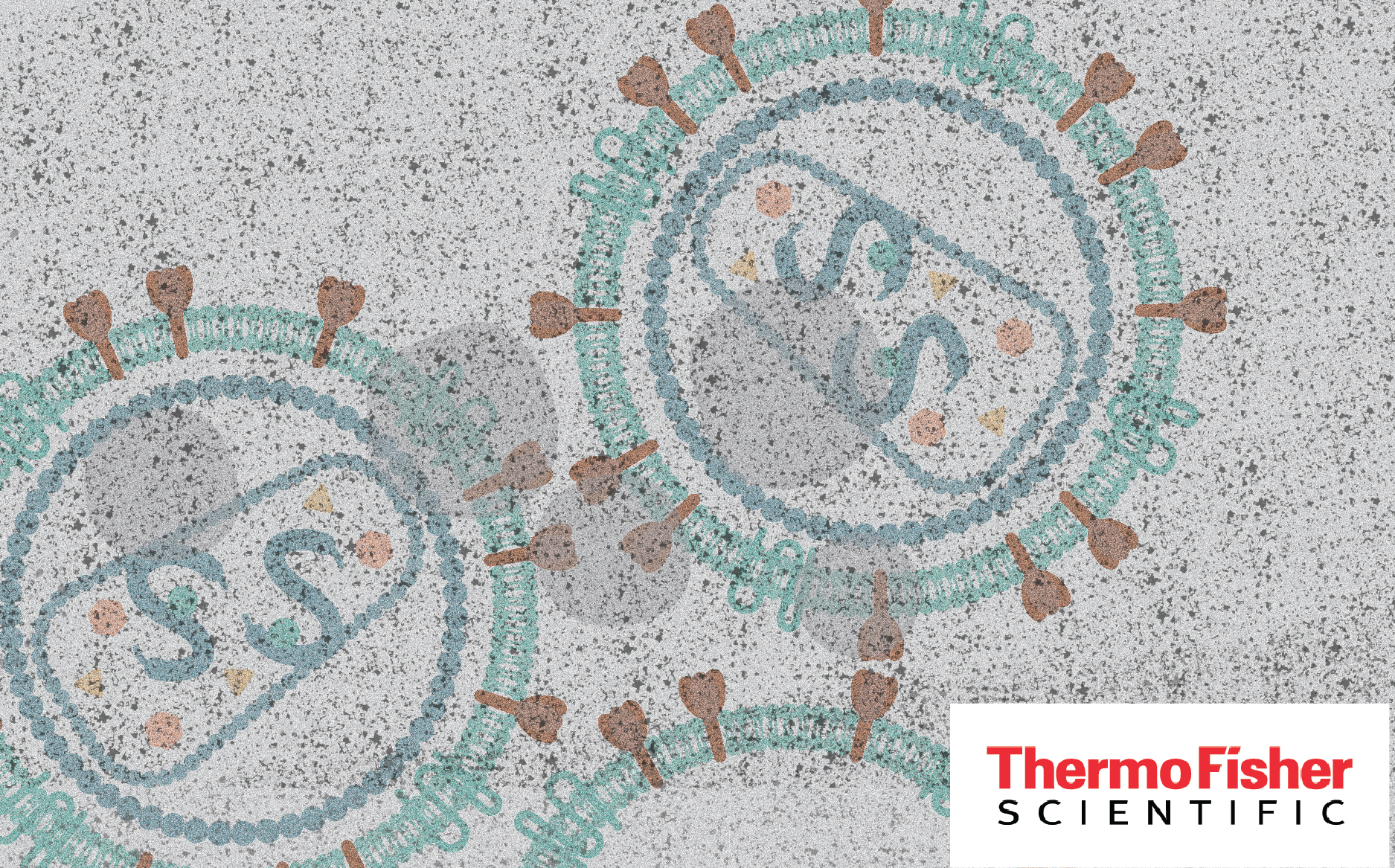 Multiple CQAs from a single dataset: advancing lentiviral vector-based cell & gene therapy