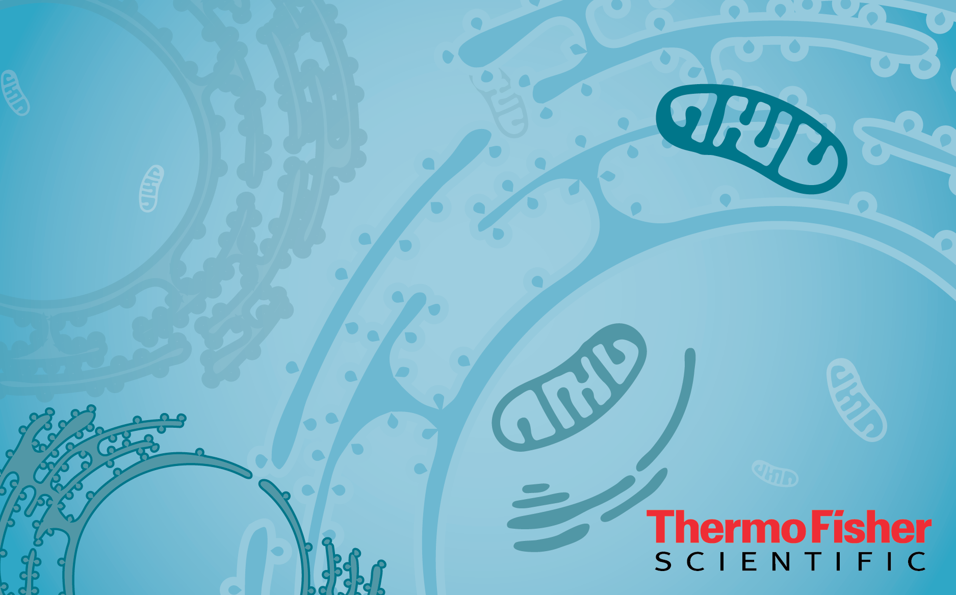 Unlock advanced strategies in cell therapy analytics