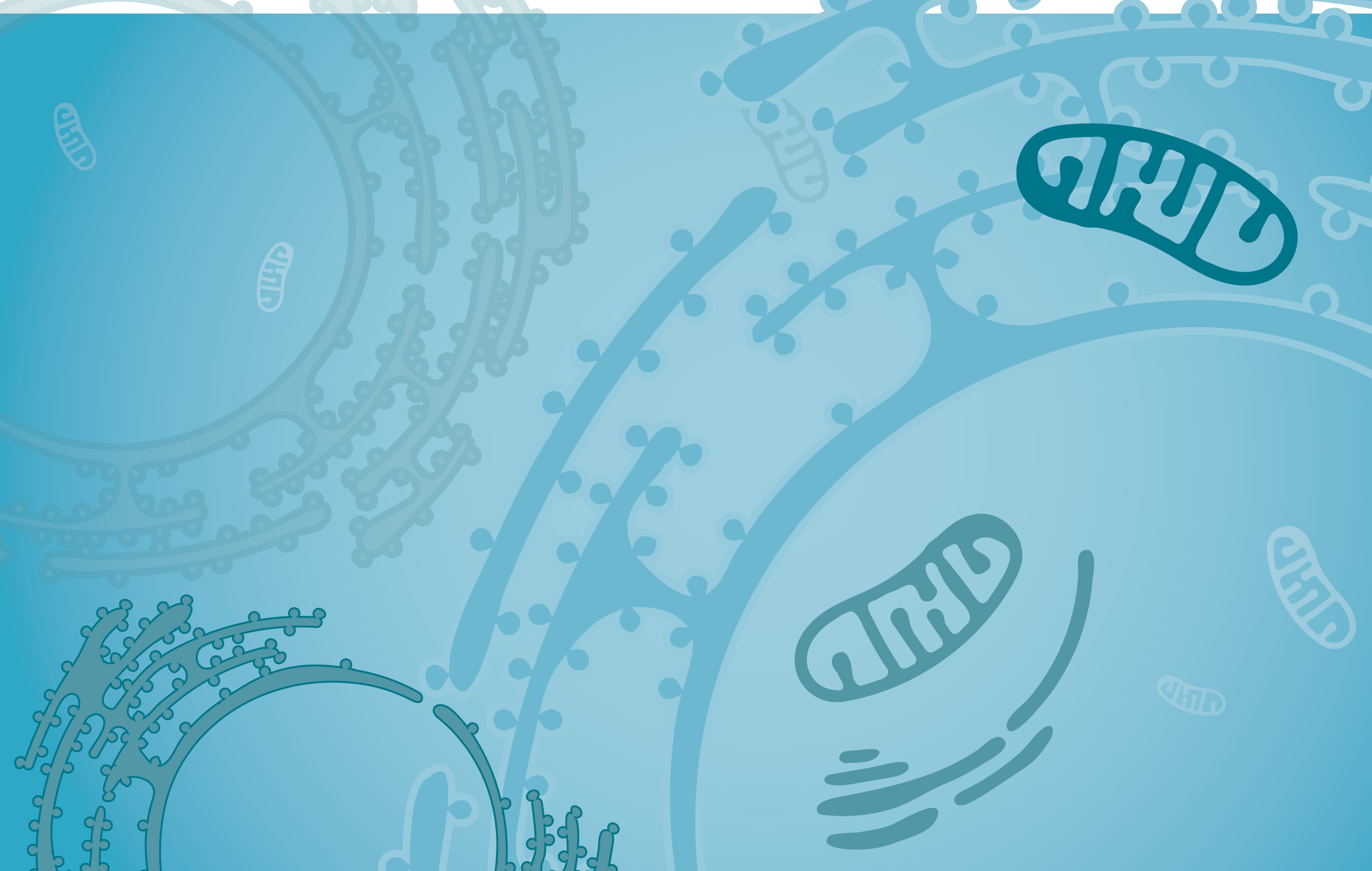 Unlock advanced strategies in cell therapy analytics