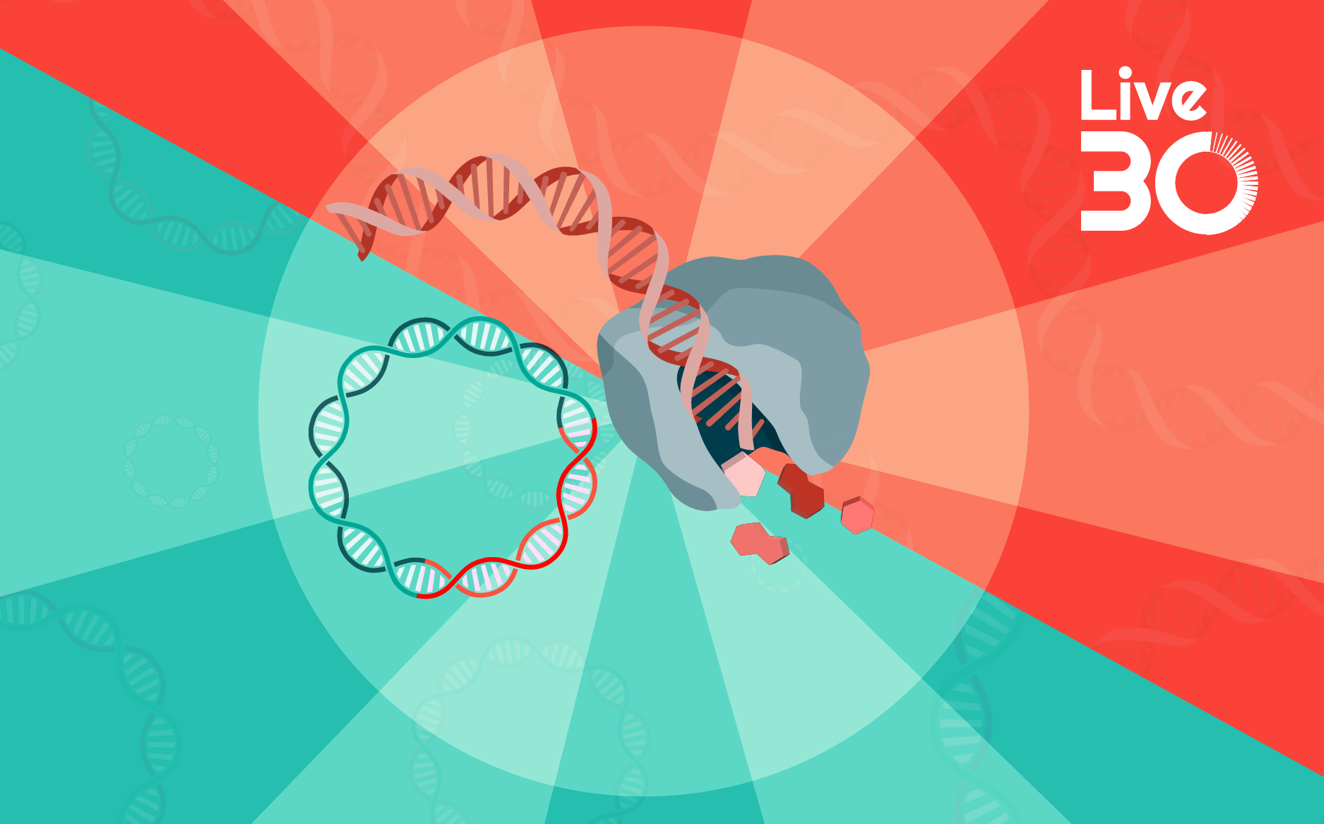 Enzymatic versus plasmid DNA for rAAV production: early development insights that lead to manufacturing success 