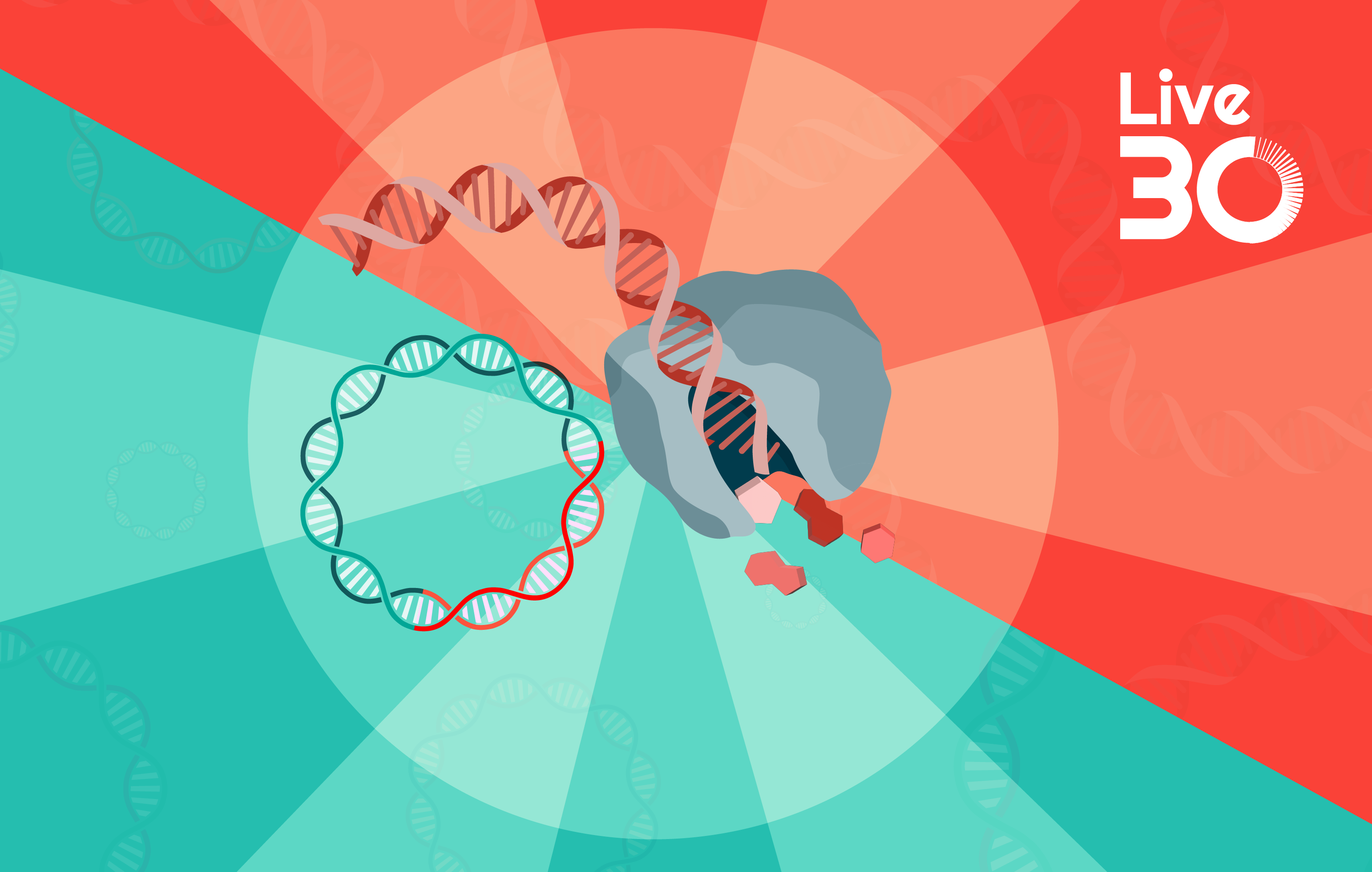 Enzymatic versus plasmid DNA for rAAV production: early development insights that lead to manufacturing success 