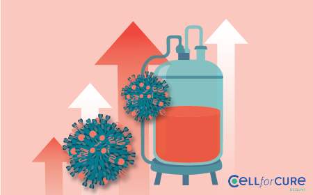 Process optimization and digital integration strategies to scale cell and gene therapy