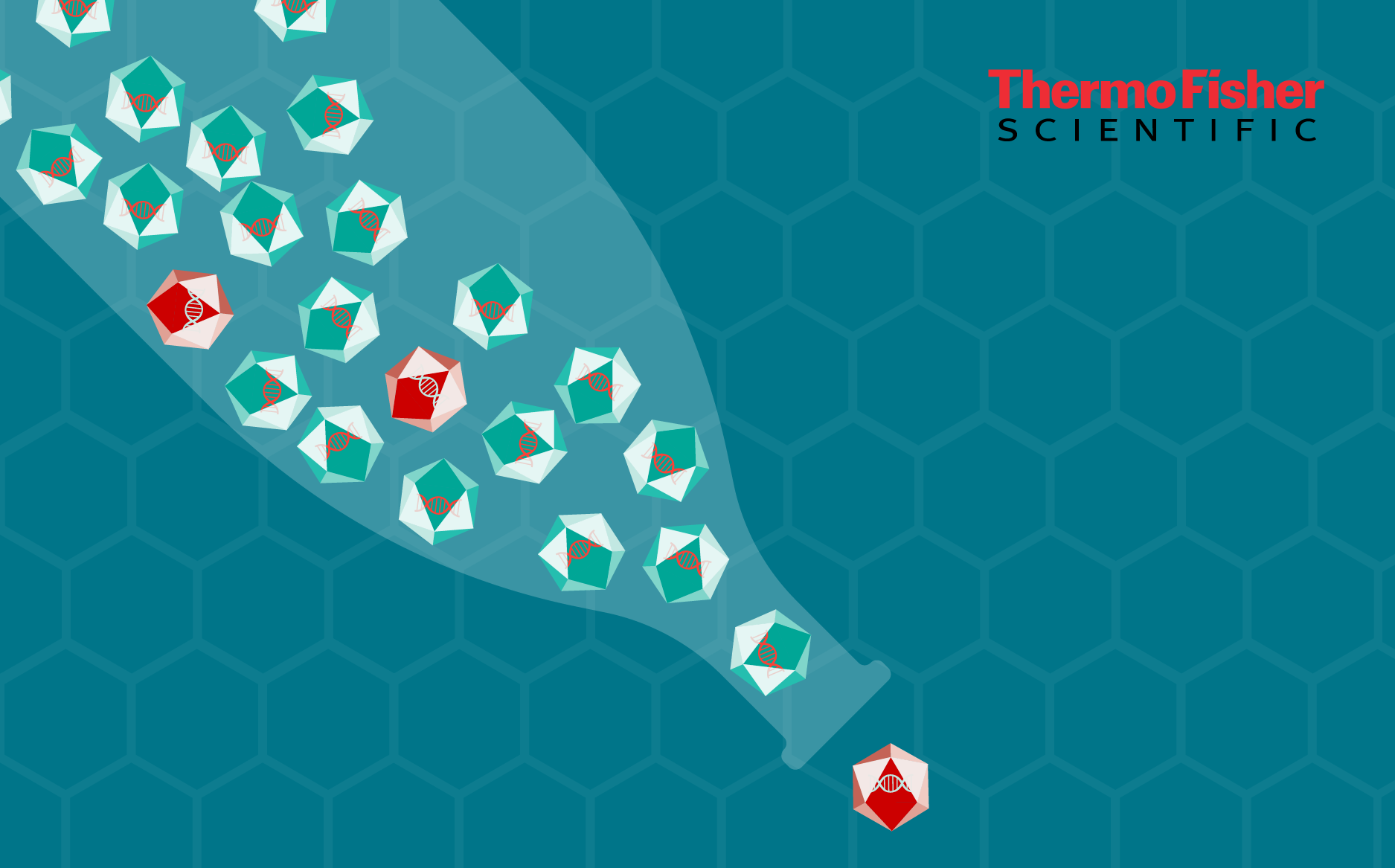Addressing AAV purification bottlenecks in 2026