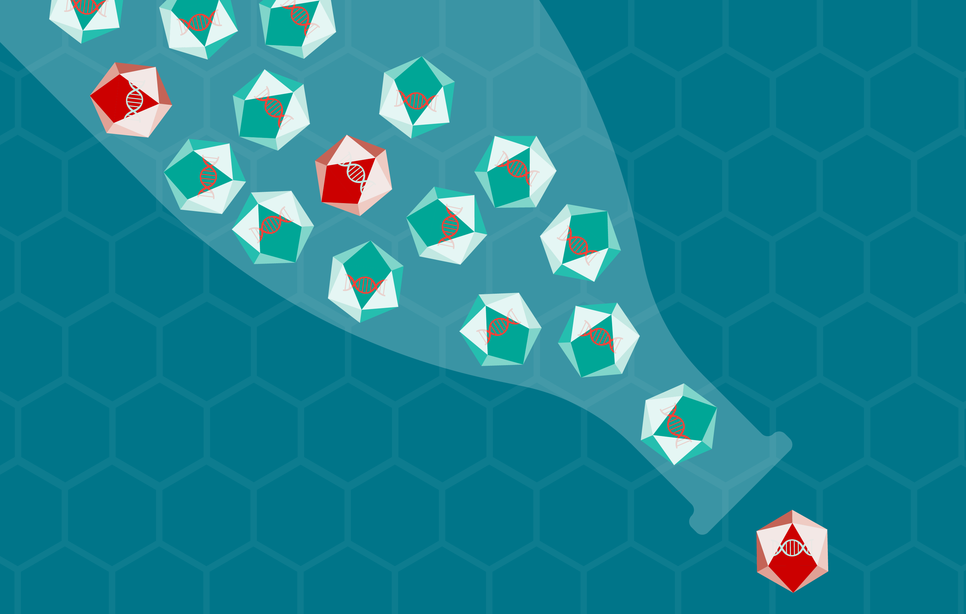 Addressing AAV purification bottlenecks in 2026