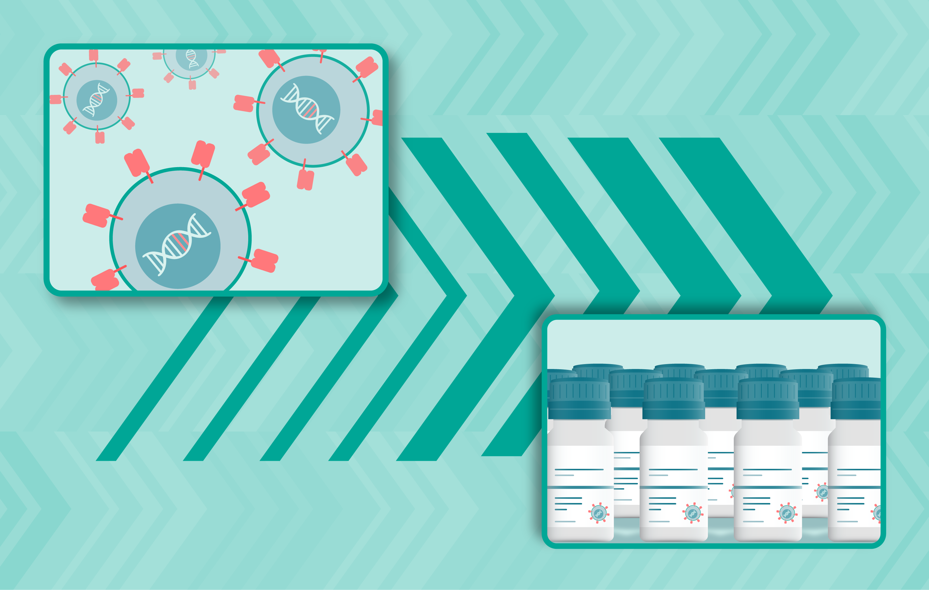Developing streamlined, flexible cell therapy process workflows: from upstream to formulation and fill-finish operations 