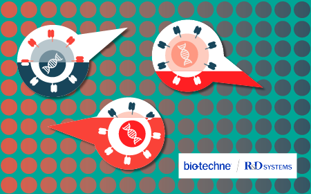 Uncovering CAR-T and CAR-NK cell potency using multi-analyte profiling 