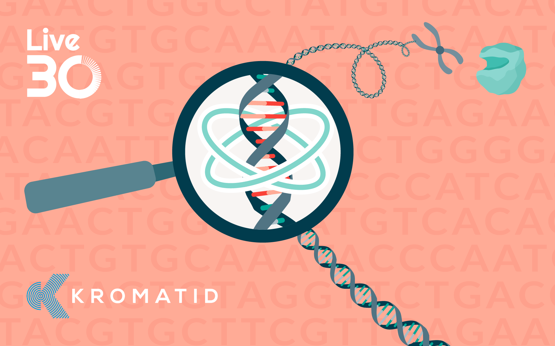 Genomic integrity and safety assessment strategies for CRISPR-edited cell therapies 