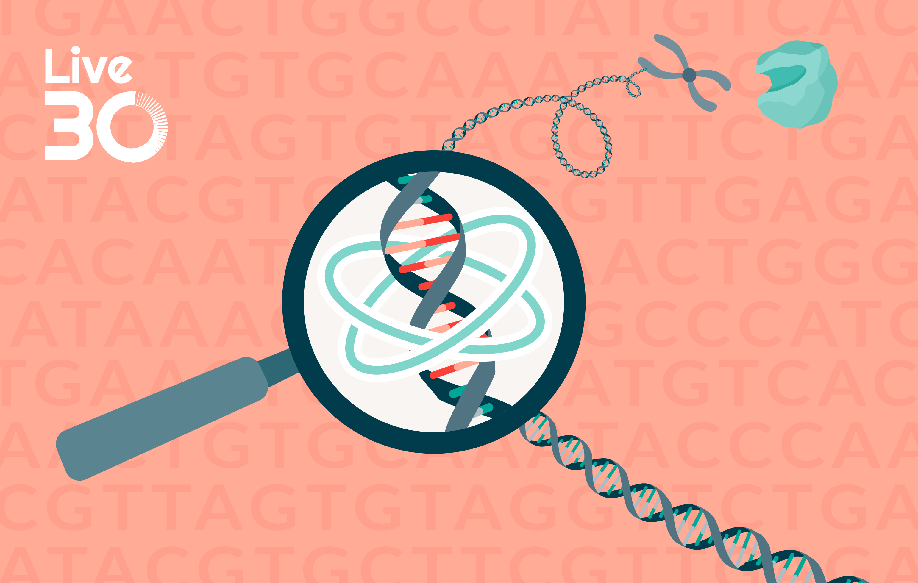 Genomic integrity and safety assessment strategies for CRISPR-edited cell therapies 