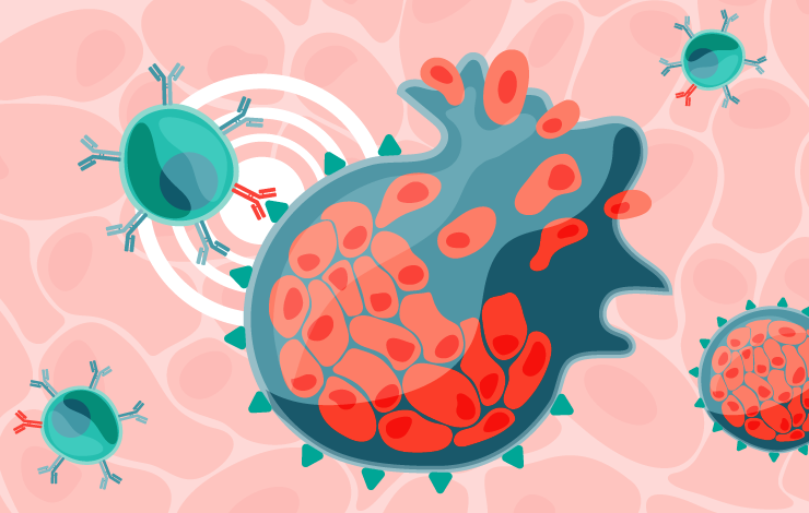 Defining effective antitumor T cell responses to guide next-generation adoptive 