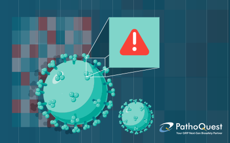 Have we finally reached the end of in vitro testing? Positioning NGS in cell and gene therapy biosafety testing 