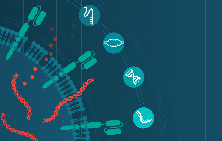 Clinical-scale manufacturing of transposon-based CAR-T cells using next-generation electroporation 