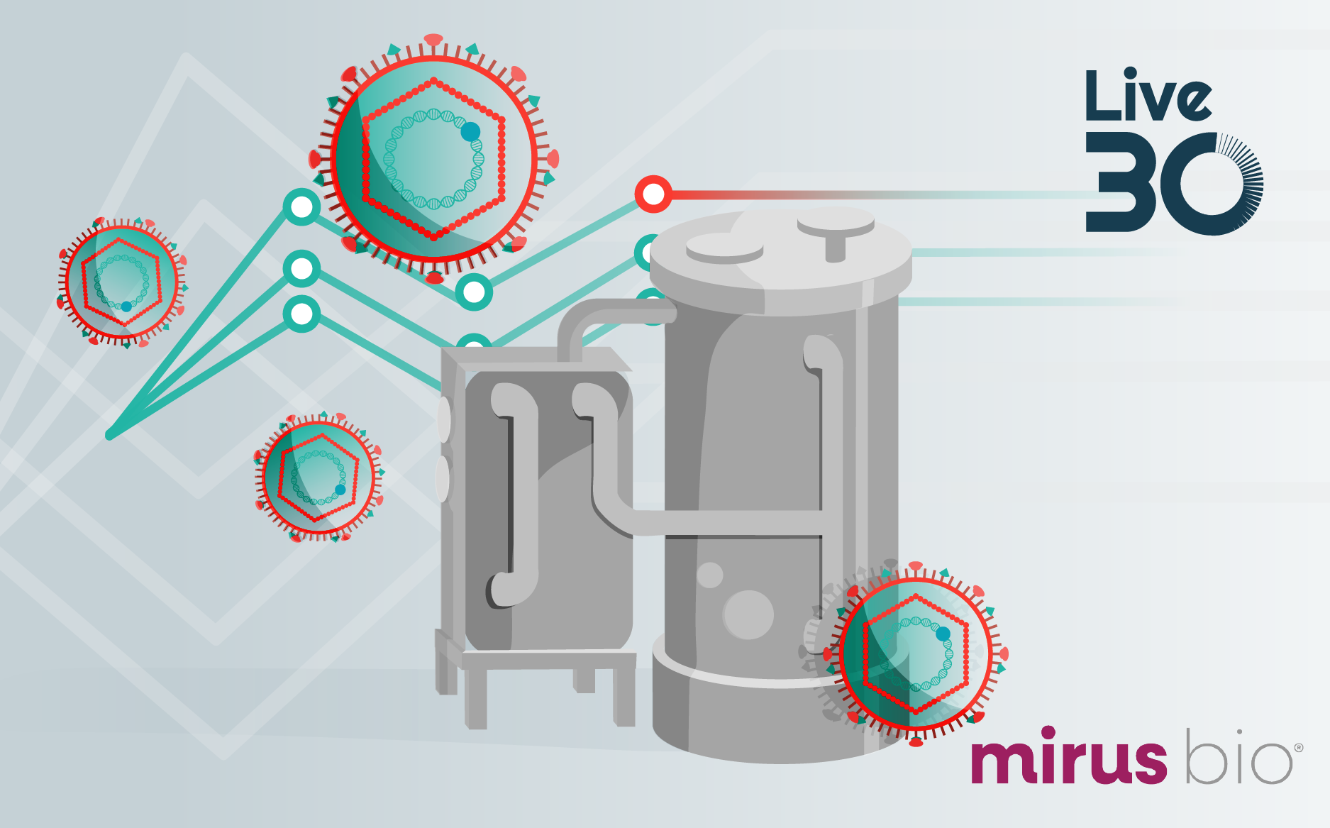Steady and stable transfection from lab to launch: enabling seamless viral vector scale-up