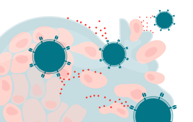Engineering armored CAR-T cells to overcome the solid tumor microenvironment