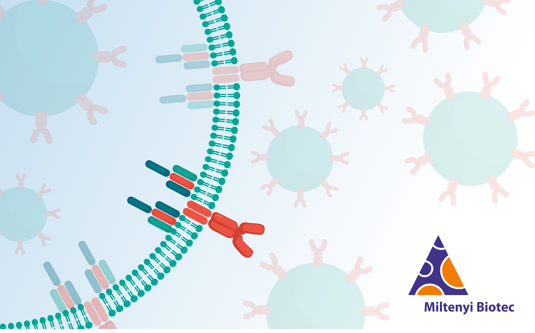 Beyond CAR-T: Synthetic Immune Receptor T (SIR-T™) cells for solid tumors